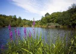 Fête de la Nature à Montmiral le 24 mai